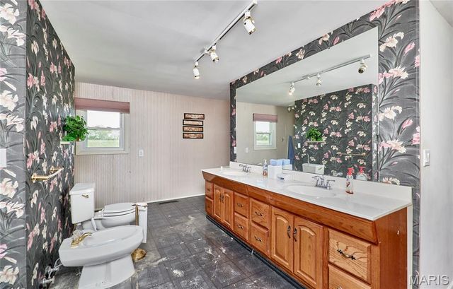 196 Absolut Lane, Troy, MO 63379