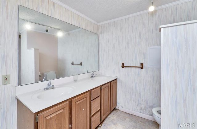 196 Absolut Lane, Troy, MO 63379