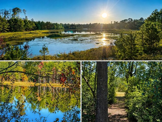 13123 Winesap Lane, Cypress, TX 77429