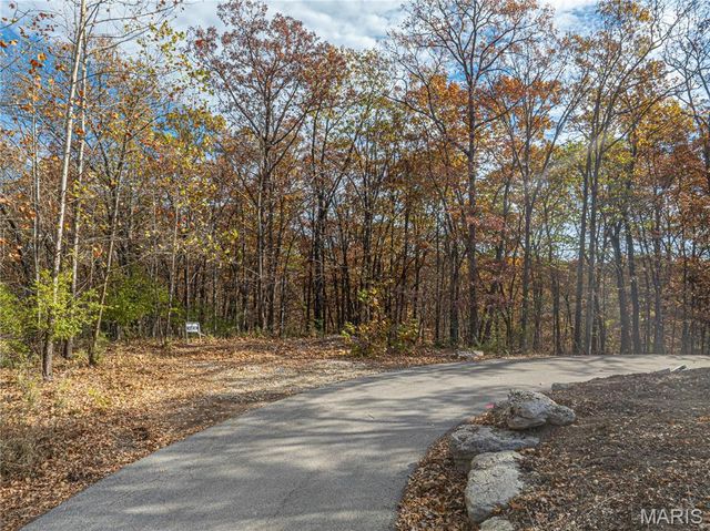 19005 Old Wild Turkey Lane, Wildwood, MO 63069