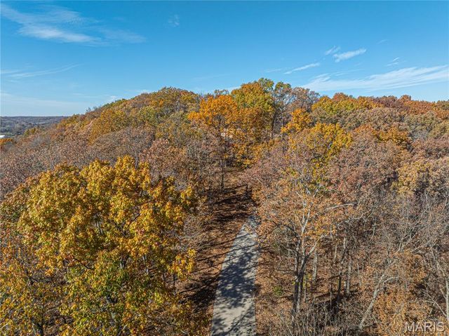 19005 Old Wild Turkey Lane, Wildwood, MO 63069