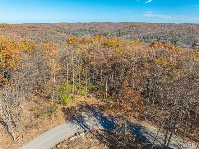 19005 Old Wild Turkey Lane, Wildwood, MO 63069