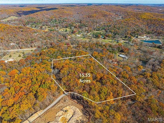 19005 Old Wild Turkey Lane, Wildwood, MO 63069