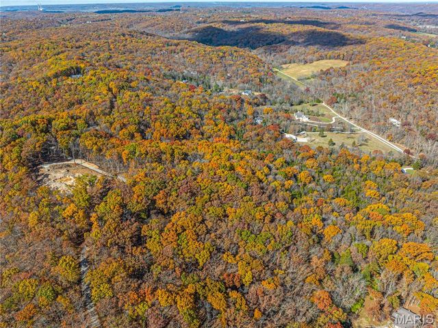 19005 Old Wild Turkey Lane, Wildwood, MO 63069