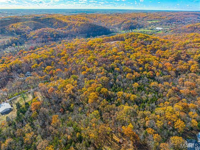 19005 Old Wild Turkey Lane, Wildwood, MO 63069