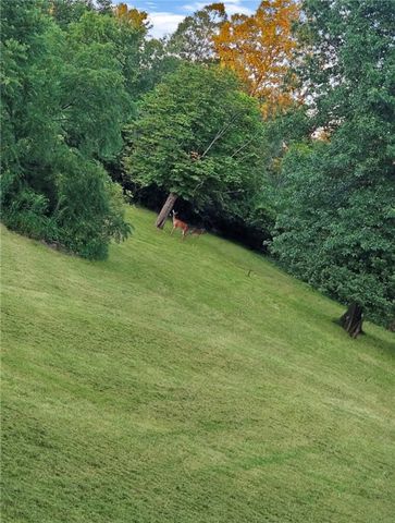 1305 Mercer Ave, Hermitage, PA 16148