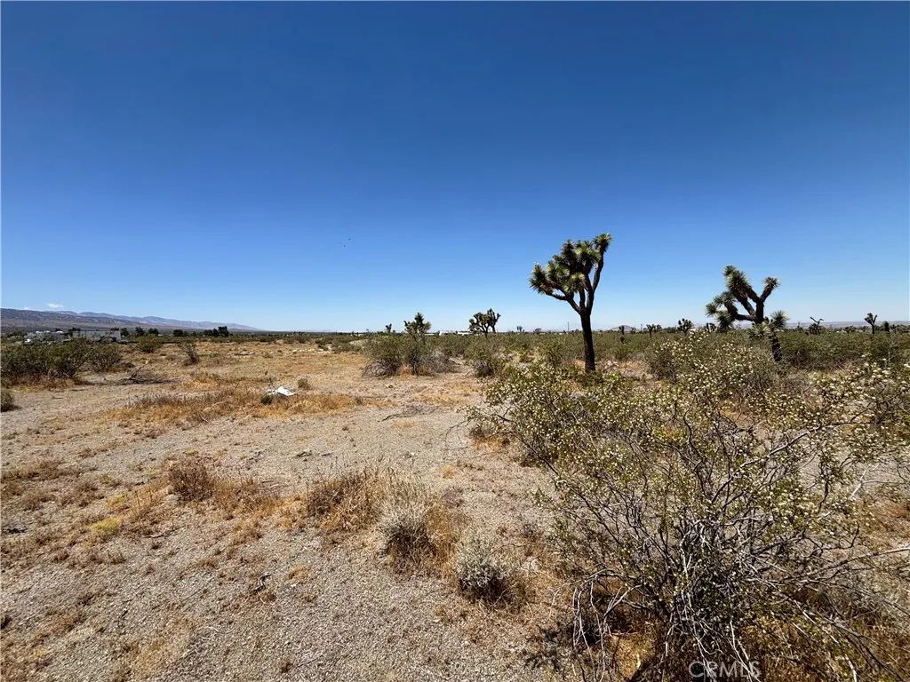 0 Danbury, Pinon Hills, CA 92372