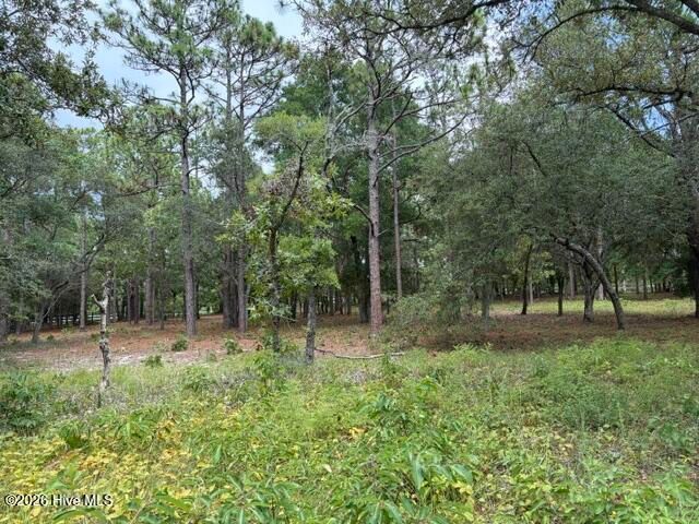 2942 Sugar Sand Drive SE, Bolivia, NC 28422