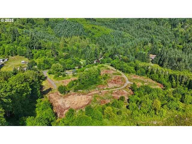 1830 Hazel Dell Rd Lot 3, Castle Rock, WA 98611