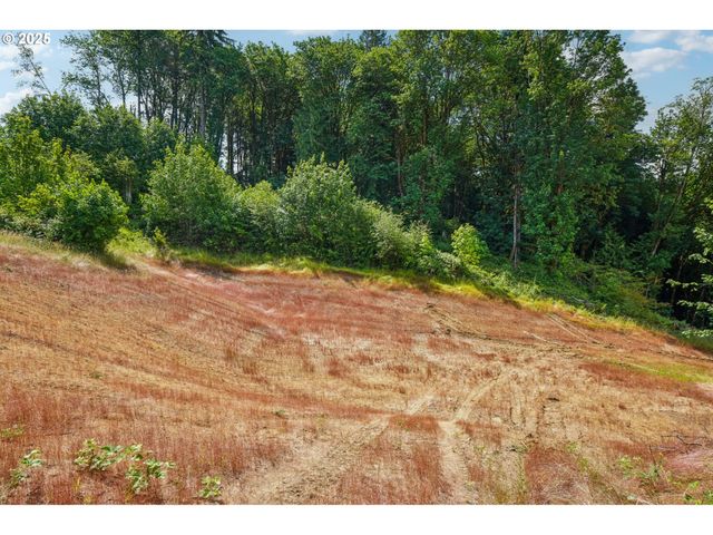 1830 Hazel Dell Rd Lot 3, Castle Rock, WA 98611