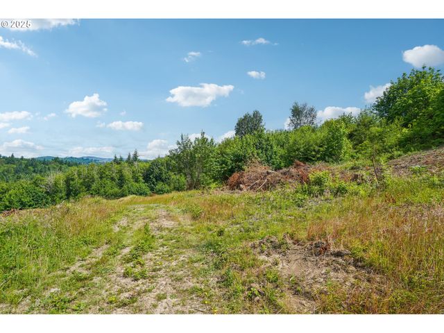 1830 Hazel Dell Rd Lot 3, Castle Rock, WA 98611