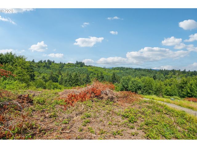 1830 Hazel Dell Rd Lot 3, Castle Rock, WA 98611