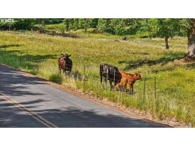 1830 Hazel Dell Rd Lot 3, Castle Rock, WA 98611