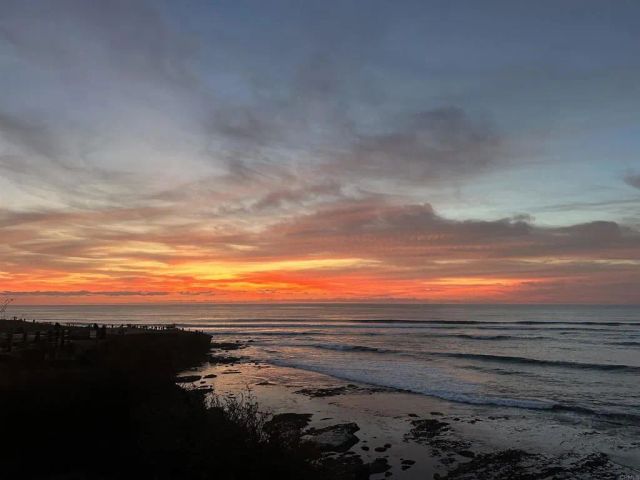 4909 Orchard Avenue 204, San Diego, CA 92017