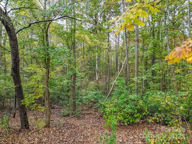 52.55 acres Mcilwaine Road, Huntersville, NC 28078