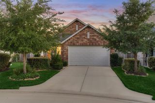 324 Tangle Birch Court, Montgomery, TX 77316