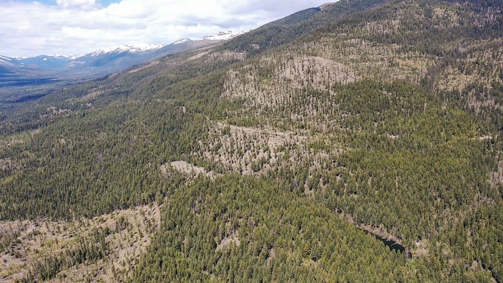 NHN Eagle Rock Road, Whitefish, MT 59937 photo 12