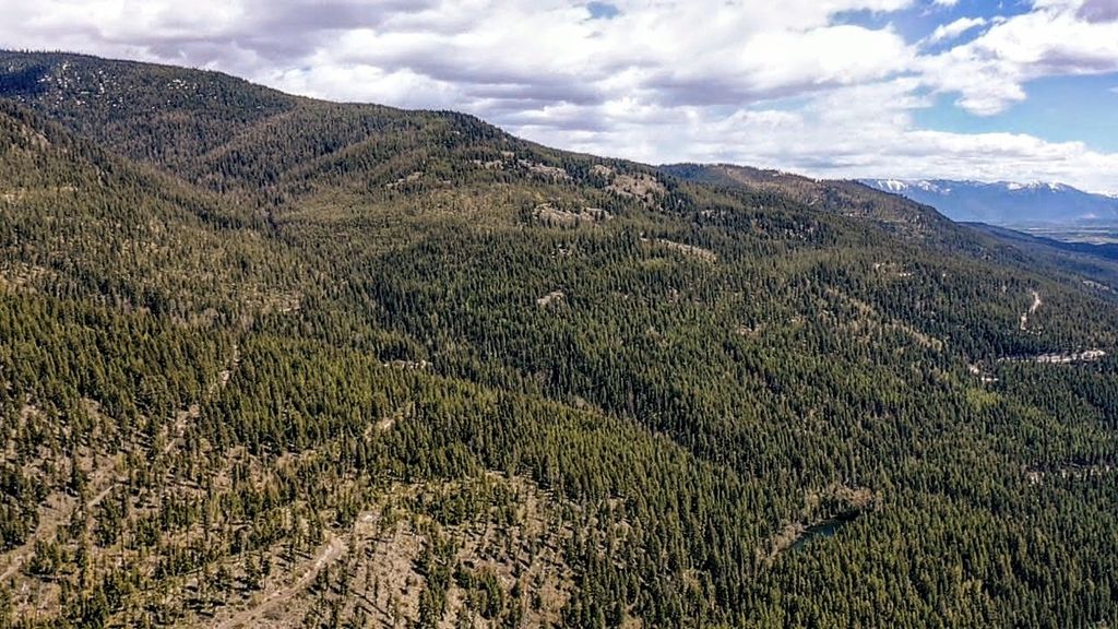 NHN Eagle Rock Road, Whitefish, MT 59937 photo 13