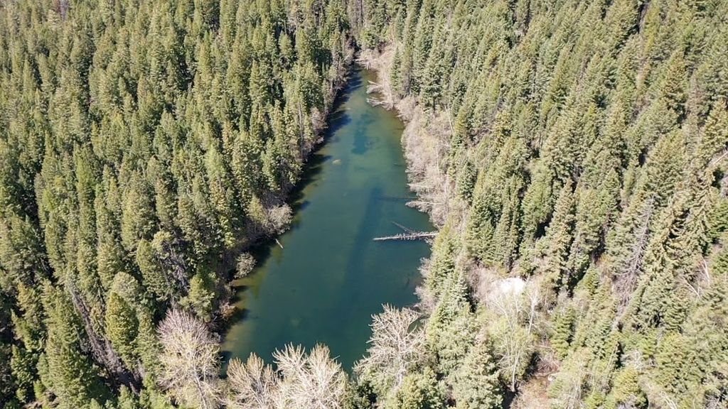 NHN Eagle Rock Road, Whitefish, MT 59937 photo 14