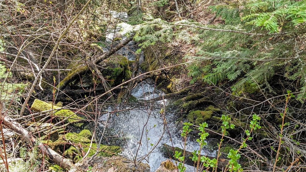 NHN Eagle Rock Road, Whitefish, MT 59937 photo 23