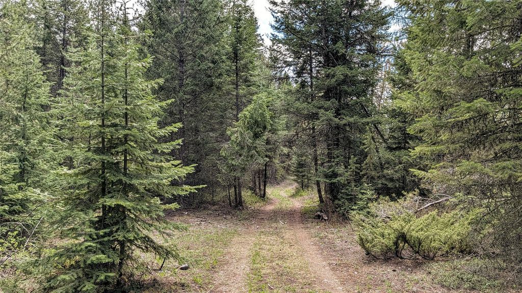 NHN Eagle Rock Road, Whitefish, MT 59937 photo 24