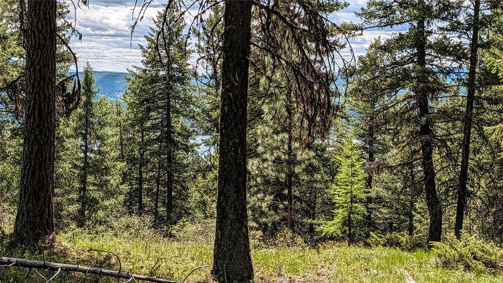 NHN Eagle Rock Road, Whitefish, MT 59937 photo 26