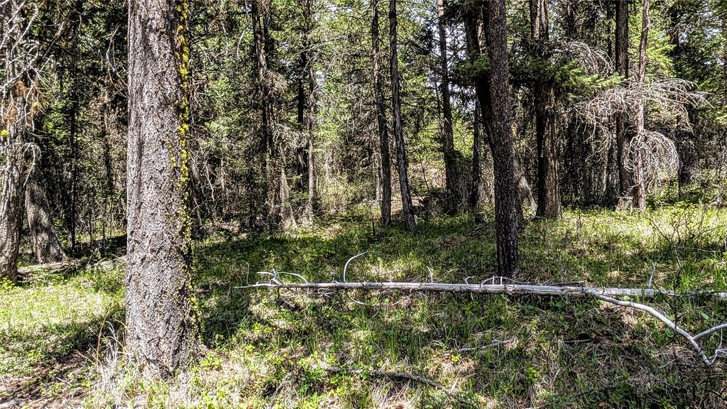 NHN Eagle Rock Road, Whitefish, MT 59937 photo 28