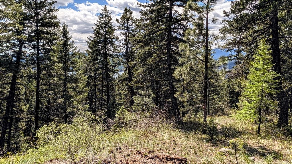 NHN Eagle Rock Road, Whitefish, MT 59937 photo 29