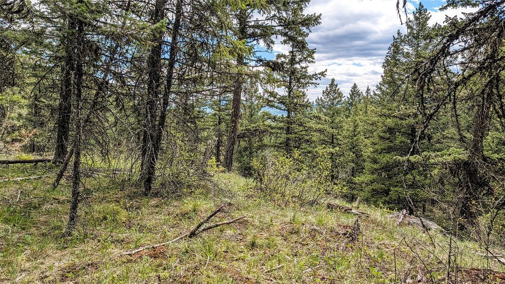NHN Eagle Rock Road, Whitefish, MT 59937 photo 31