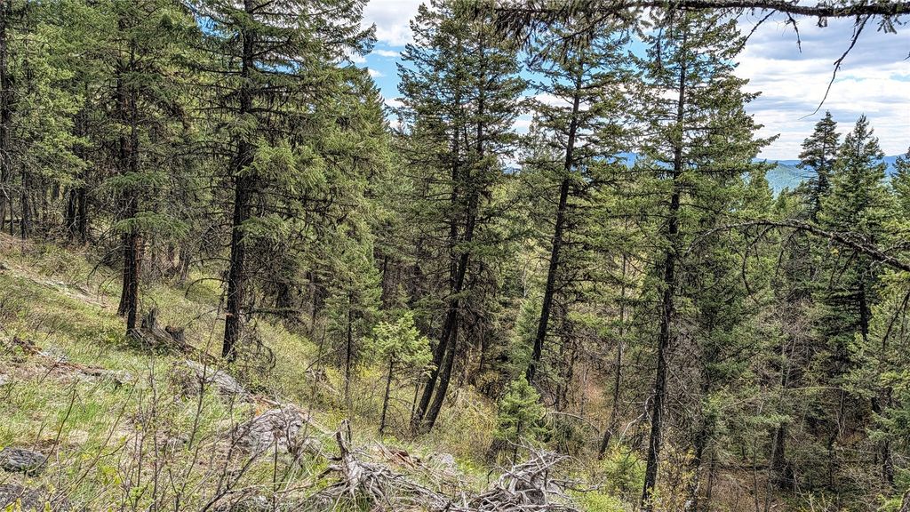 NHN Eagle Rock Road, Whitefish, MT 59937 photo 32