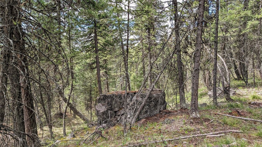 NHN Eagle Rock Road, Whitefish, MT 59937 photo 33