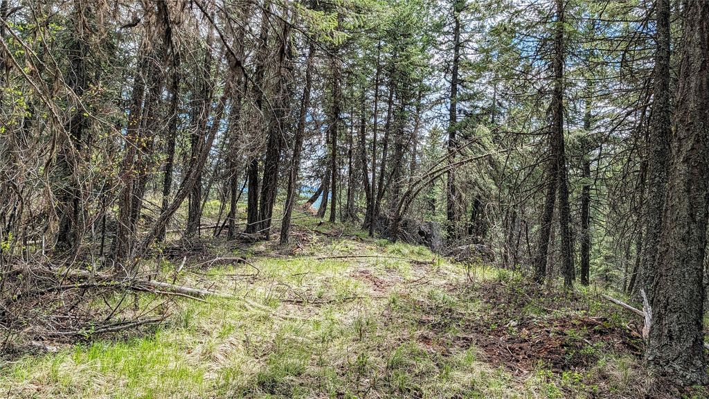 NHN Eagle Rock Road, Whitefish, MT 59937 photo 34
