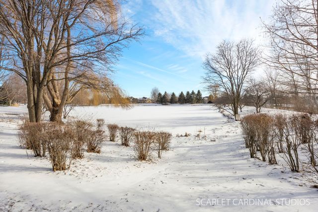 26115 Mapleview Drive, Plainfield, IL 60585