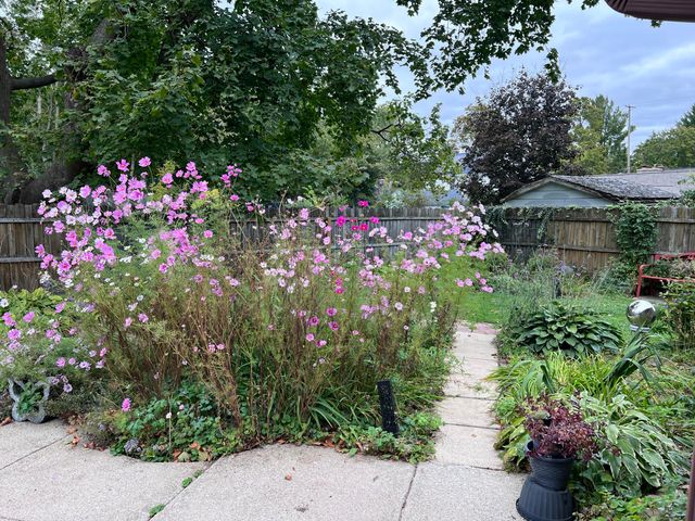 603 Park Avenue, Parchment City, MI 49004