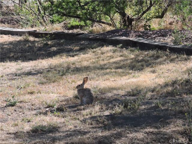 26931 Columbia Way, Tehachapi, CA 93561