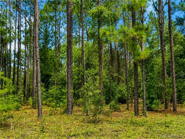 7938 N Ryan Way, Citrus Springs, FL 34434