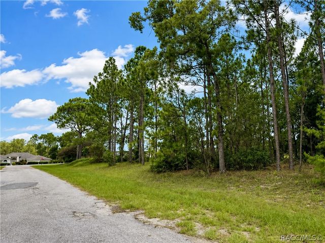 7938 N Ryan Way, Citrus Springs, FL 34434