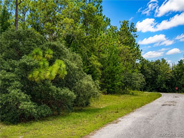 7938 N Ryan Way, Citrus Springs, FL 34434