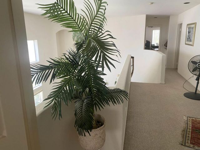 4534 Da Vinci St, San Diego, CA 92130