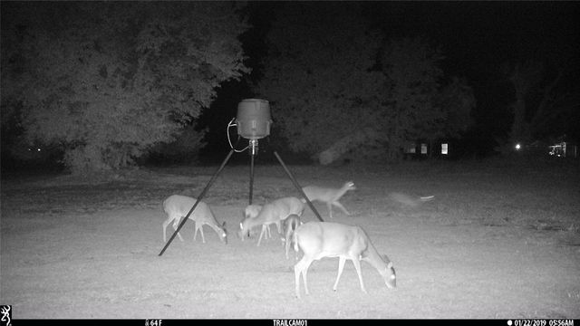 TBD Buckthorn Drive, Quinlan, TX 75474