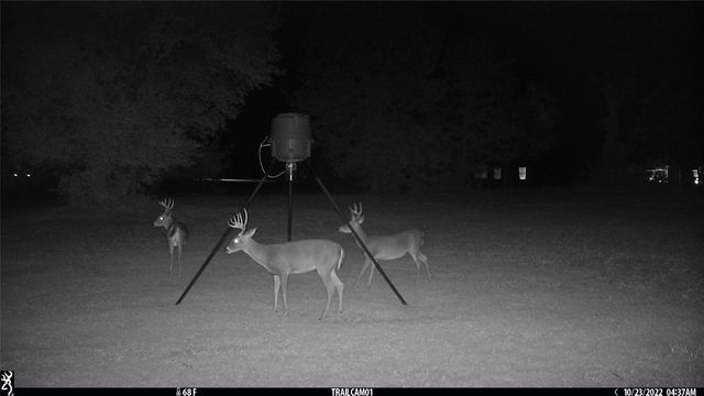 TBD Buckthorn Drive, Quinlan, TX 75474