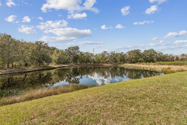 19103 CENTRE ROSE BOULEVARD, Lutz, FL 33558