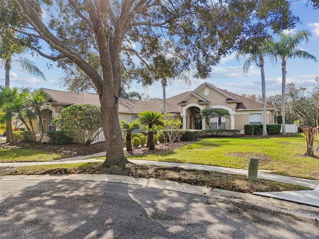 19103 CENTRE ROSE BOULEVARD, Lutz, FL 33558