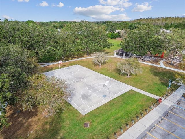 19103 CENTRE ROSE BOULEVARD, Lutz, FL 33558