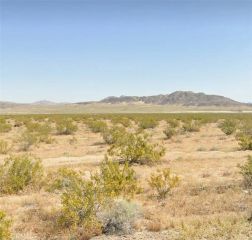 800 Firethorn Way (NEAR), Johnson Valley, CA 92285