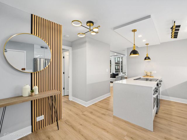 1455 N Sandburg Terrace 209B, Chicago, IL 60610