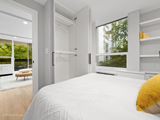 1455 N Sandburg Terrace 209B, Chicago, IL 60610