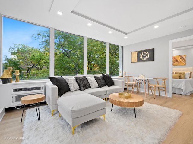 1455 N Sandburg Terrace 209B, Chicago, IL 60610