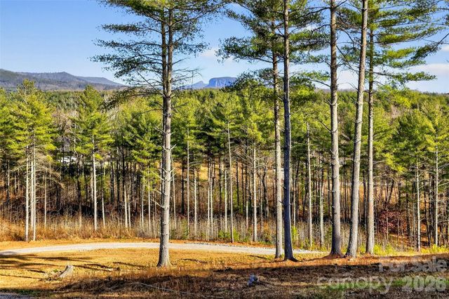 183 Crest View Drive NE 55, Nebo, NC 28761