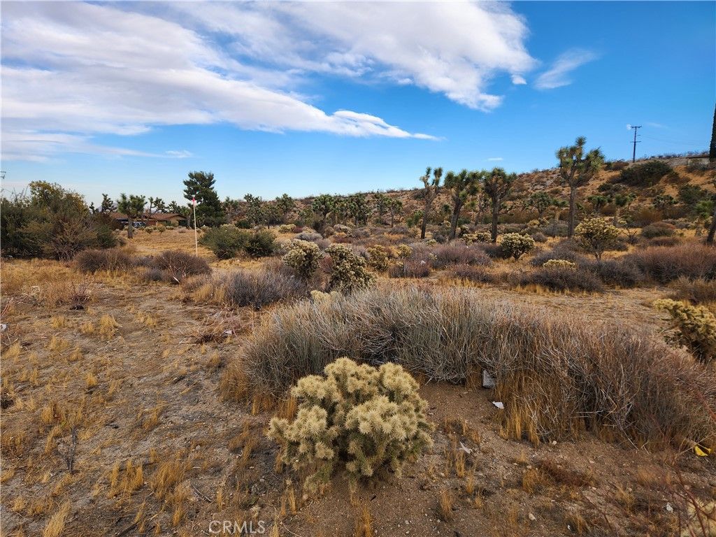 Image 13 of property listing at 164 LOT Joshua Lane, Yucca Valley, CA 92284